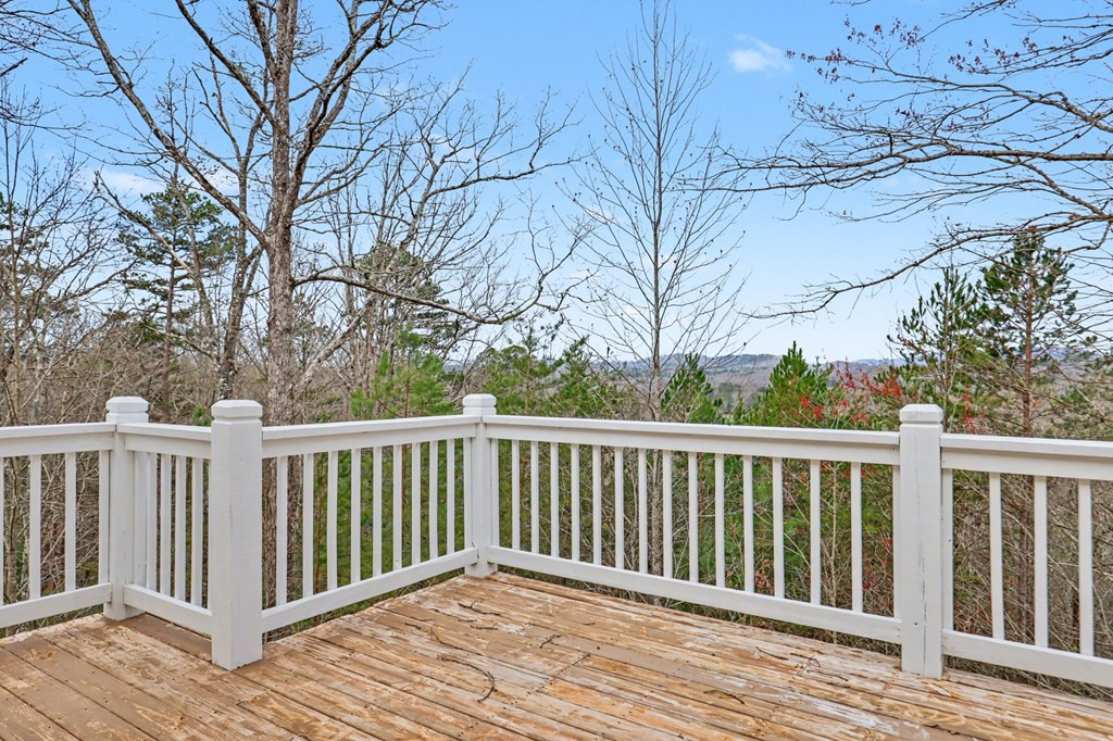 368 Sierra Springs Drive Property Photo 53