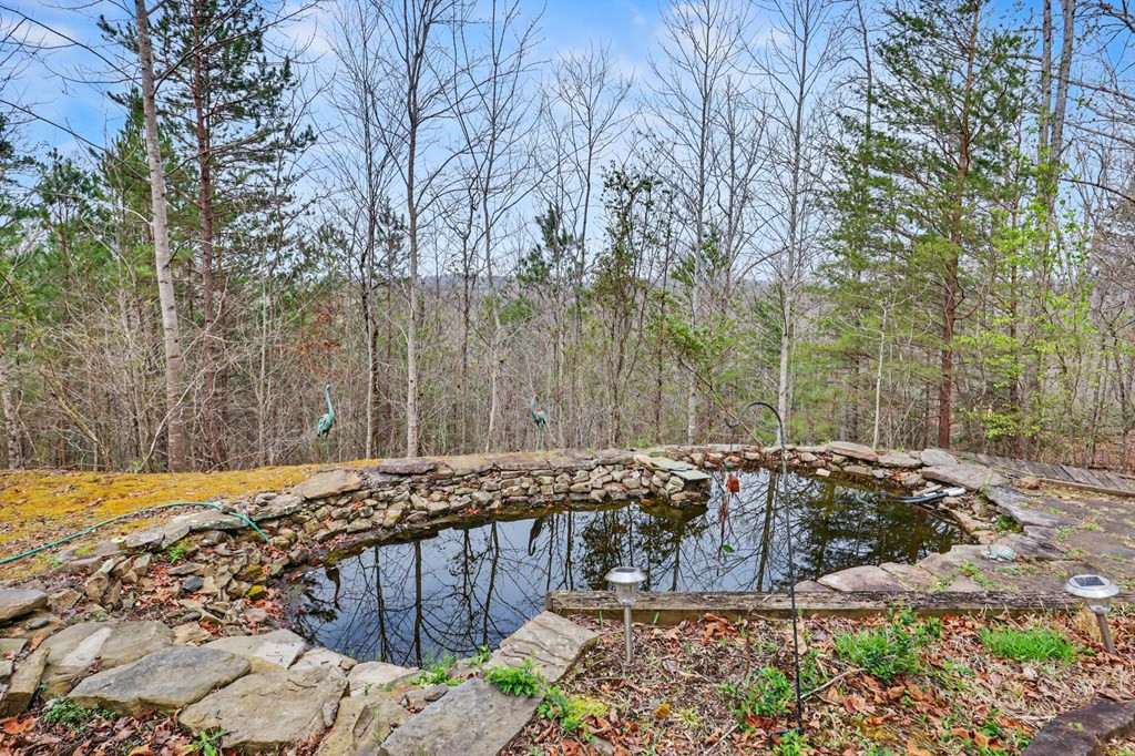 368 Sierra Springs Drive Property Photo 61