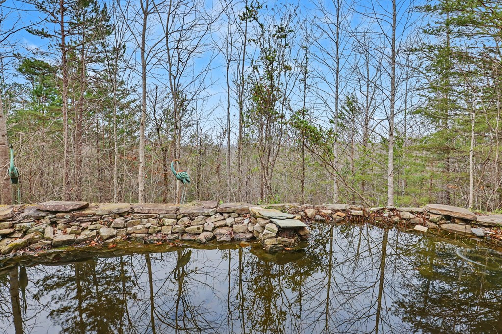 368 Sierra Springs Drive Property Photo 64
