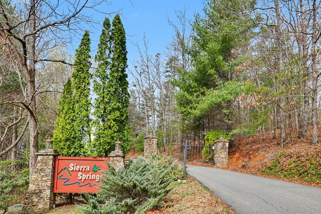 368 Sierra Springs Drive Property Photo 69