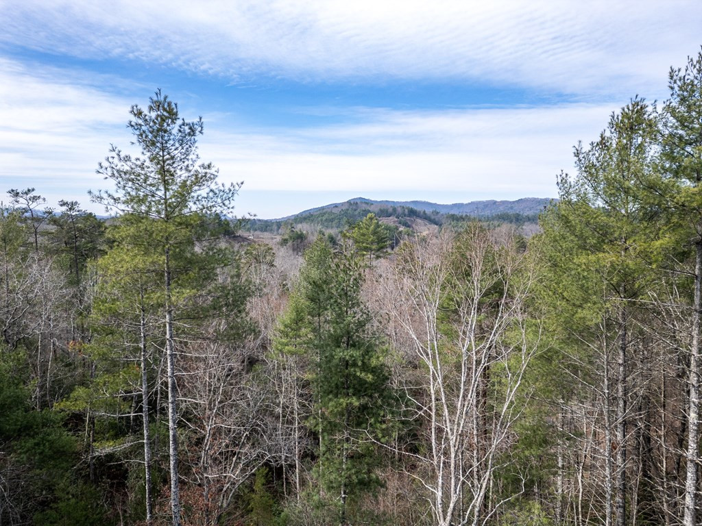 325 River Mountain Road Property Photo 37