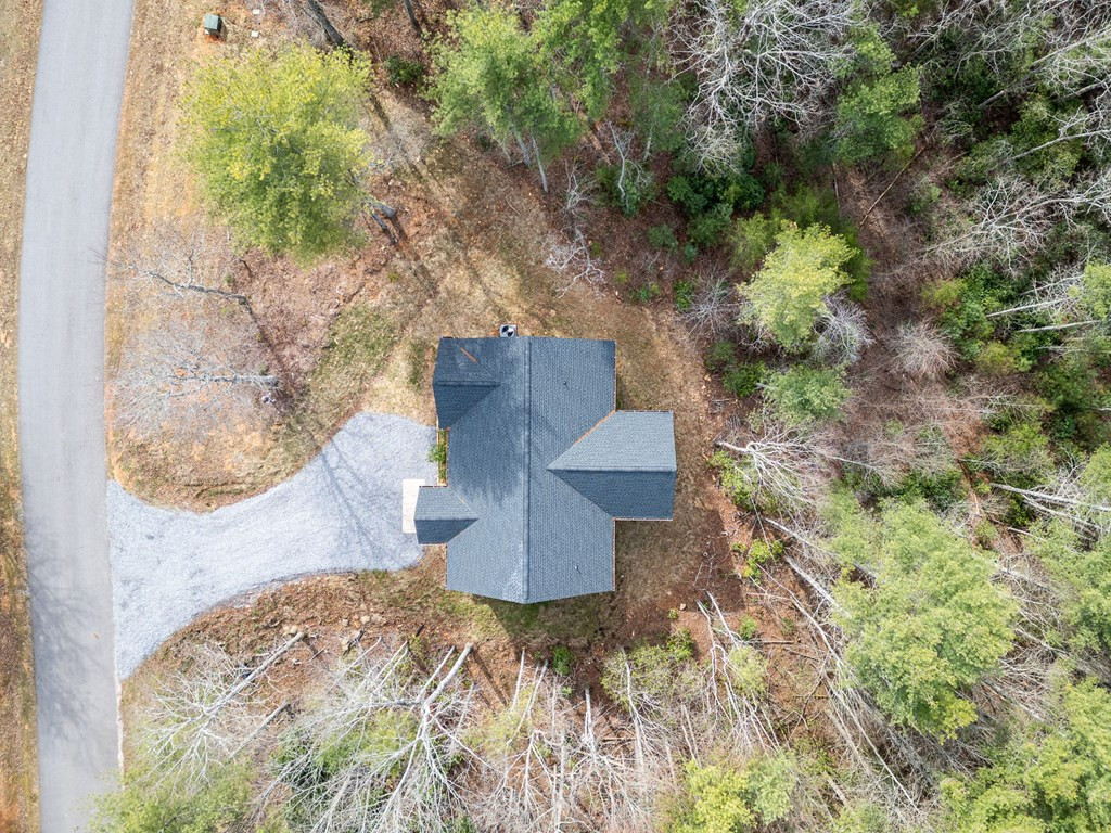 325 River Mountain Road Property Photo 43