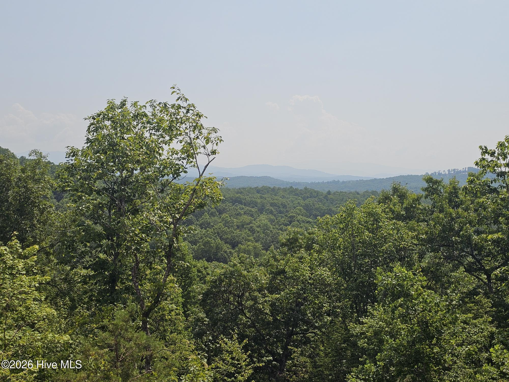 130 Hudson Springs Lane Property Photo 9