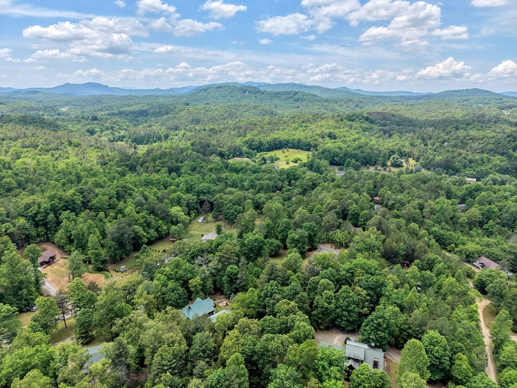 290 Butterball Boulevard Property Photo 46