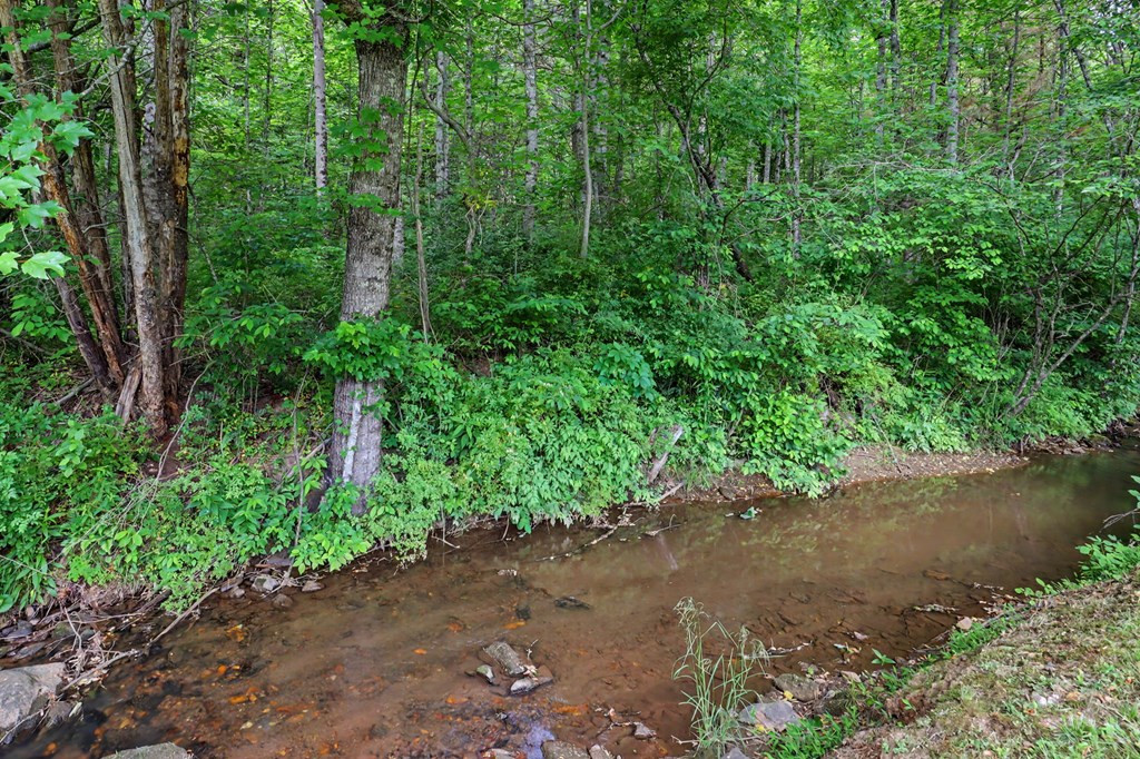 1139 Bearmeat Road Property Photo 35