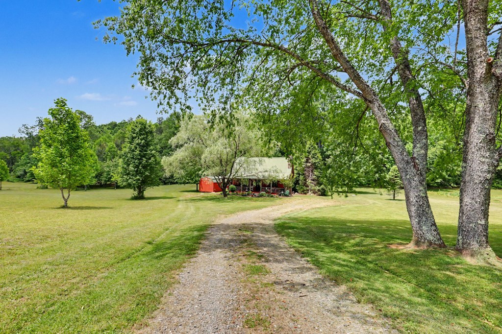 1139 Bearmeat Road Property Photo 42