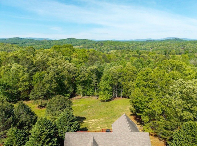 178 Windy Valley Lane Property Photo 2