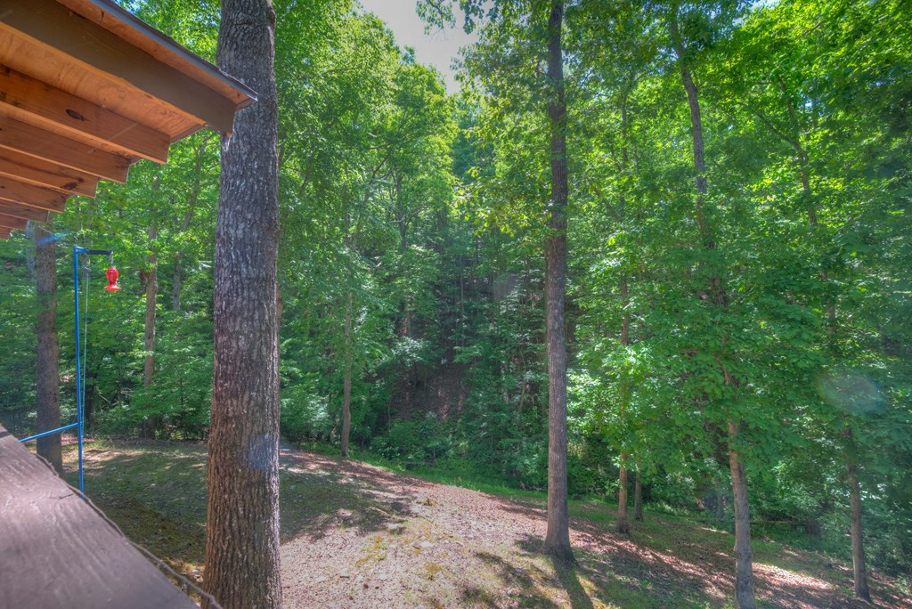256 Woods Drive Property Photo 21