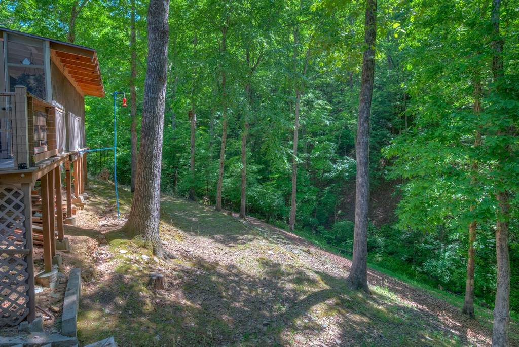 256 Woods Drive Property Photo 27