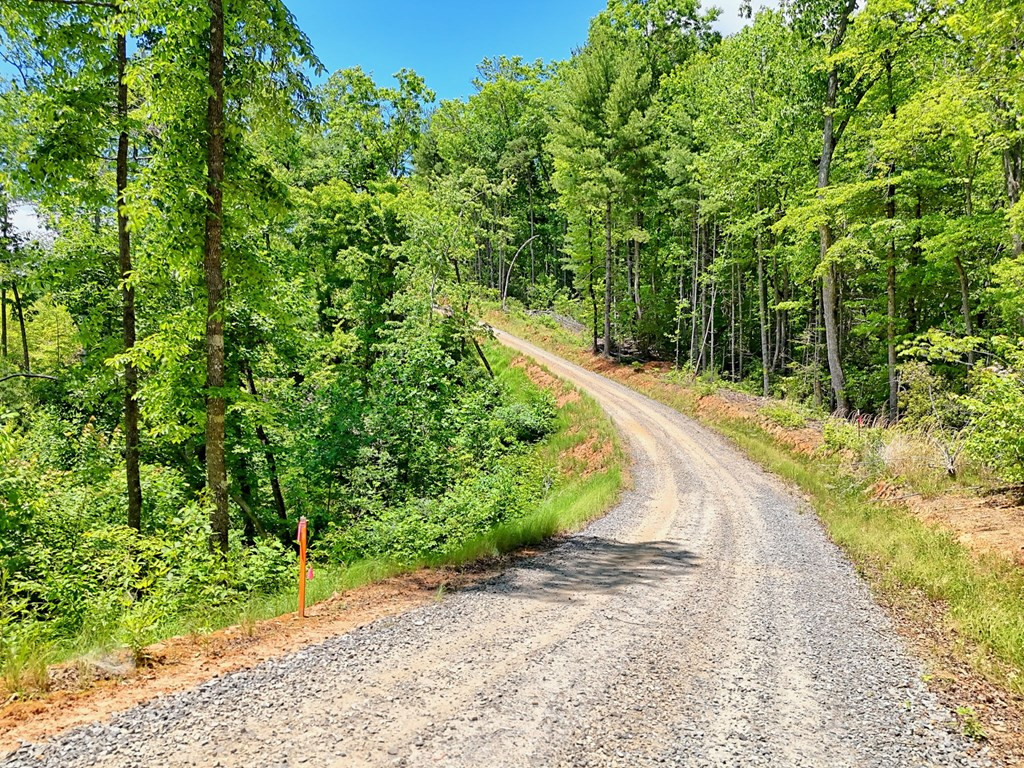 Lot 28 28 Bryson Creek Property Photo 2