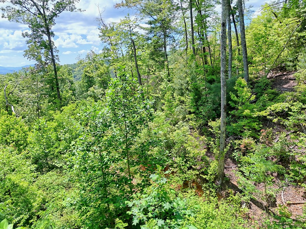 Lot 28 28 Bryson Creek Property Photo 3