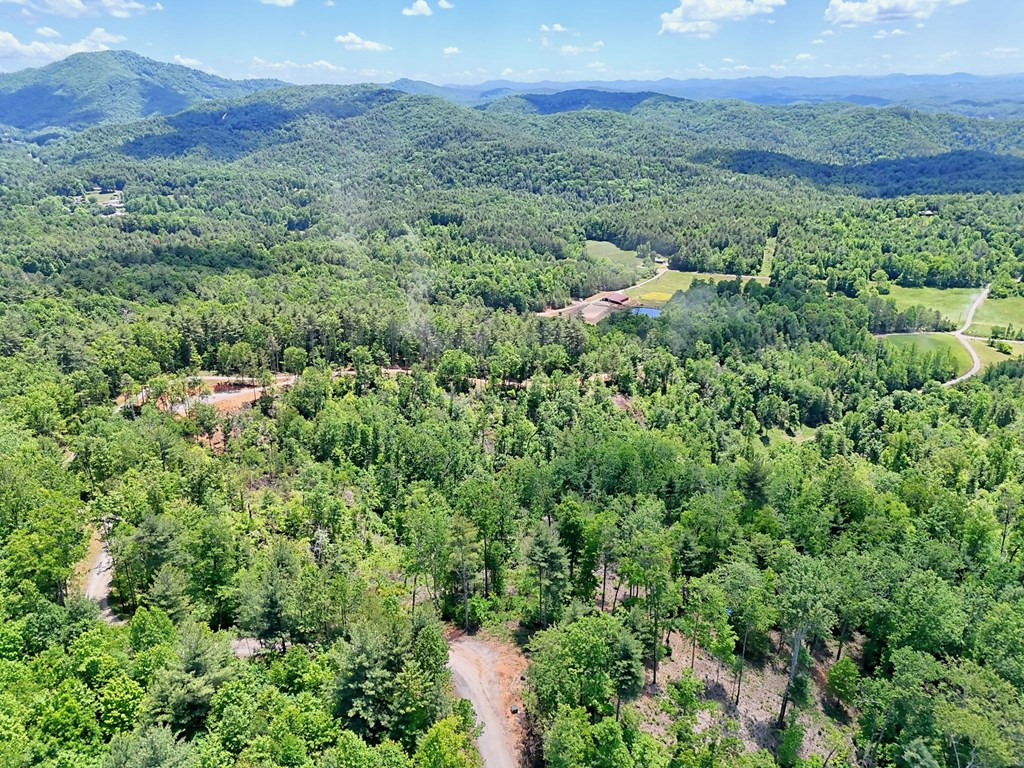 Lot 28 28 Bryson Creek Property Photo 4