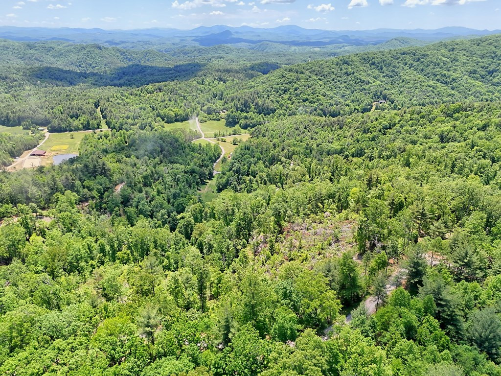 Lot 28 28 Bryson Creek Property Photo 5
