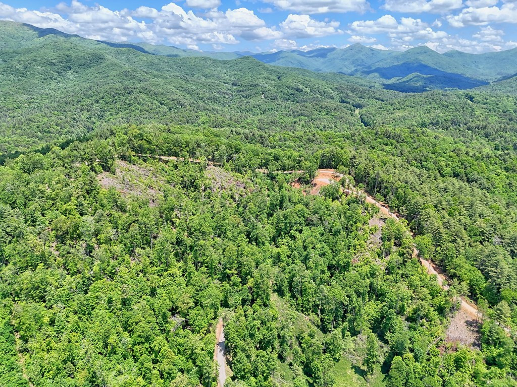 Lot 28 28 Bryson Creek Property Photo 6
