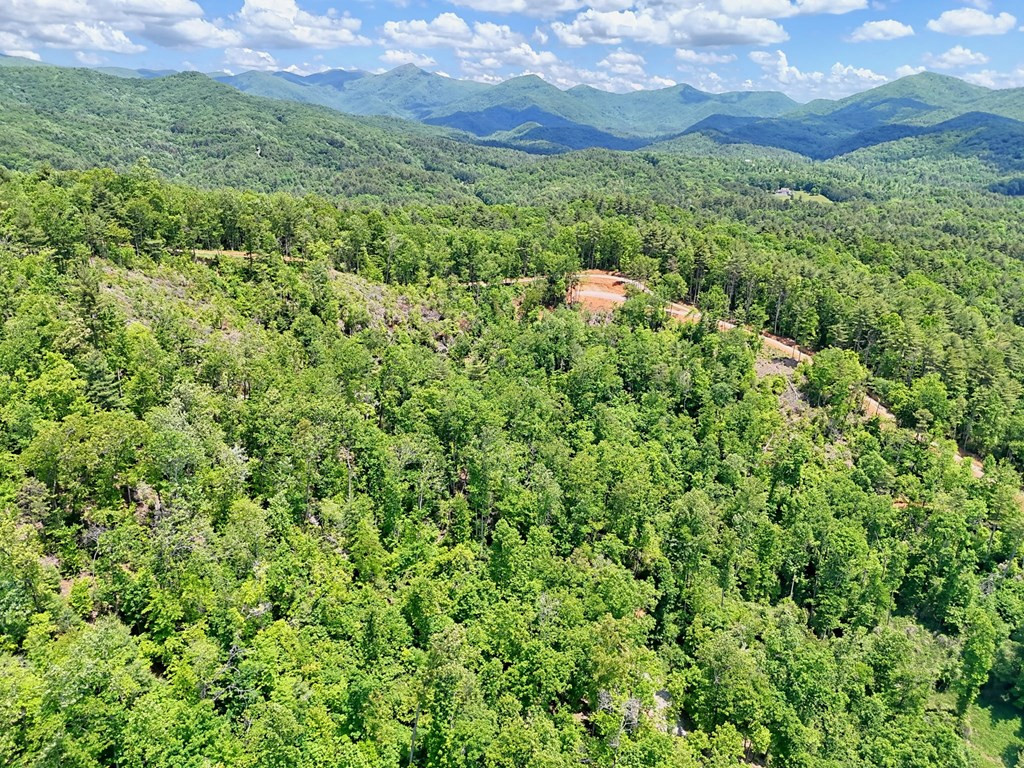 Lot 28 28 Bryson Creek Property Photo 7