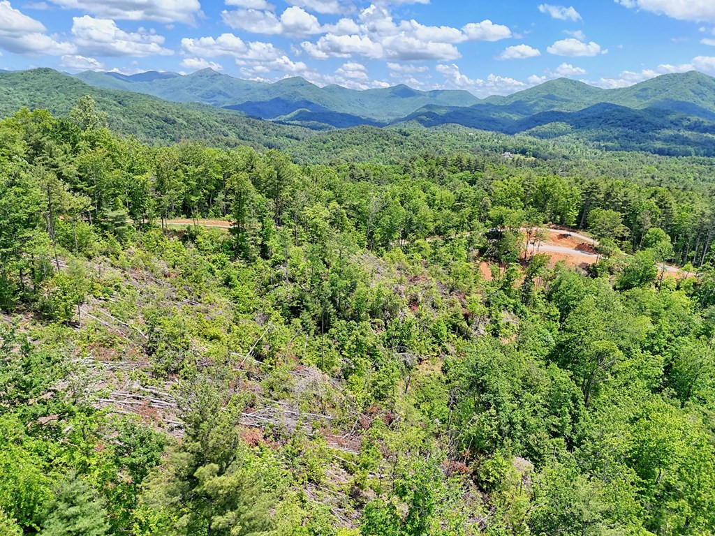 Lot 28 28 Bryson Creek Property Photo 8