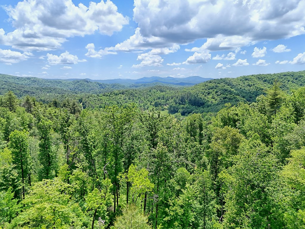 Lot 28 28 Bryson Creek Property Photo 9