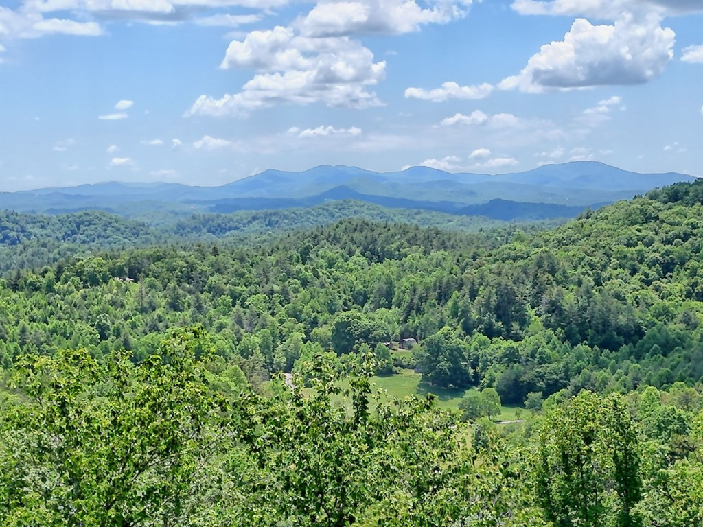 Lot 28 28 Bryson Creek Property Photo 10