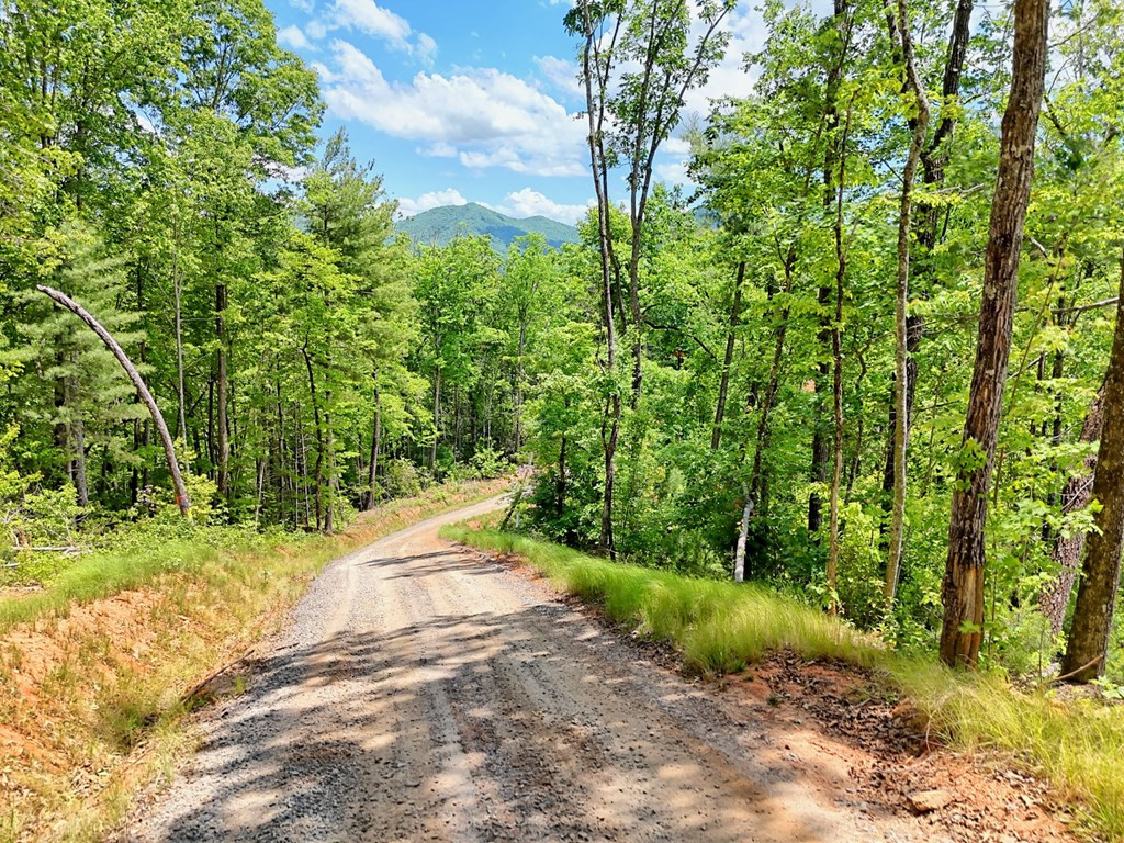 Lot 28 28 Bryson Creek Property Photo 11