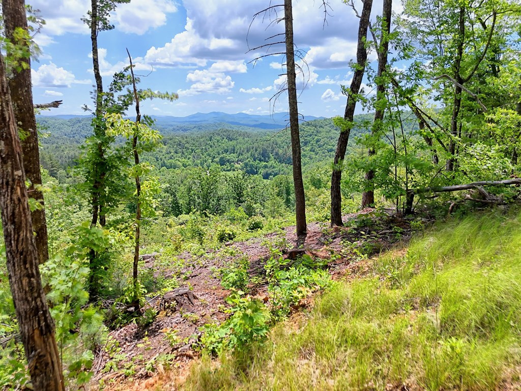 Lot 28 28 Bryson Creek Property Photo 12