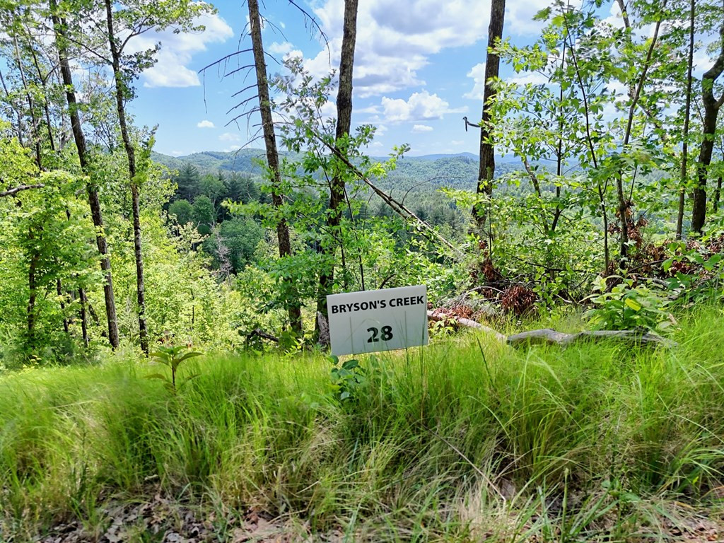 Lot 28 28 Bryson Creek Property Photo 13