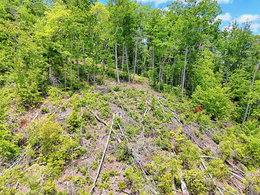 Lot 28 28 Bryson Creek Property Photo 15