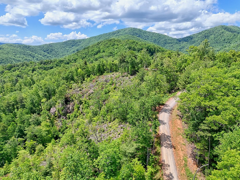 Lot 28 28 Bryson Creek Property Photo 17