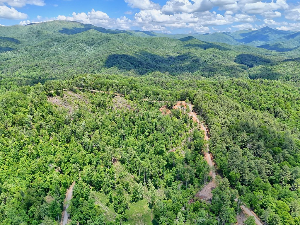 Lot 28 28 Bryson Creek Property Photo 19