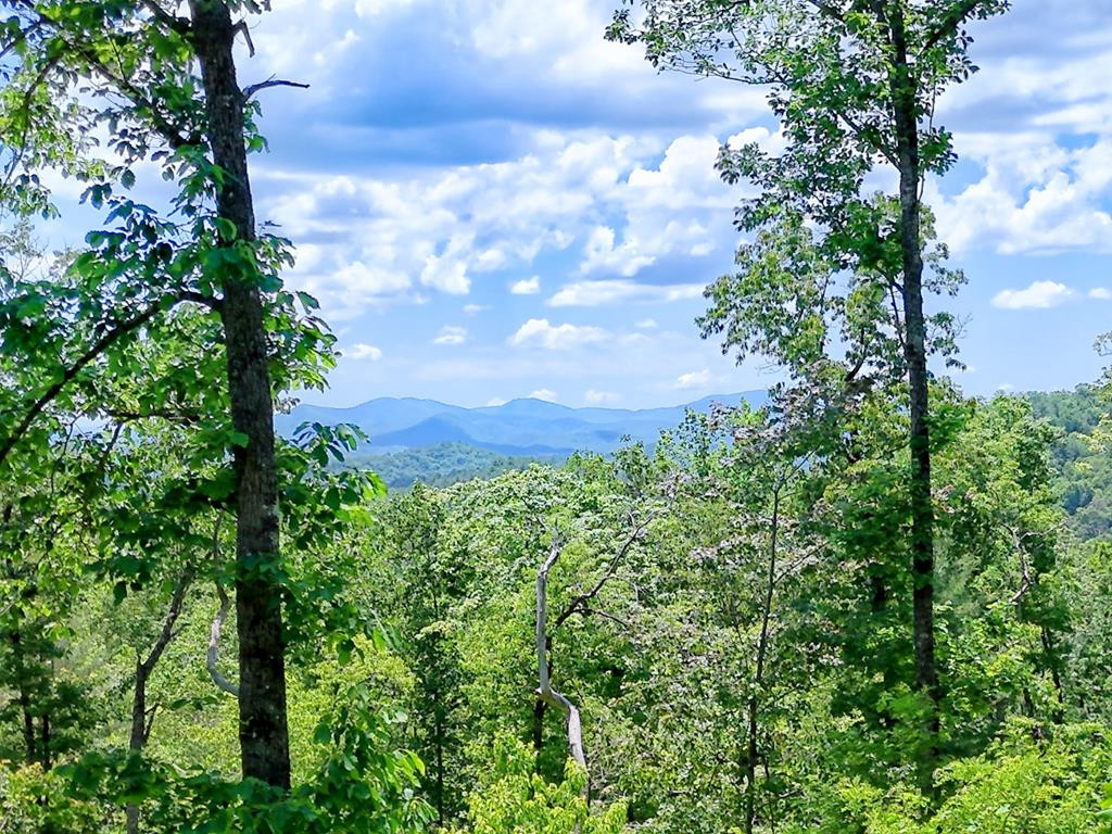 Lot 28 28 Bryson Creek Property Photo 1