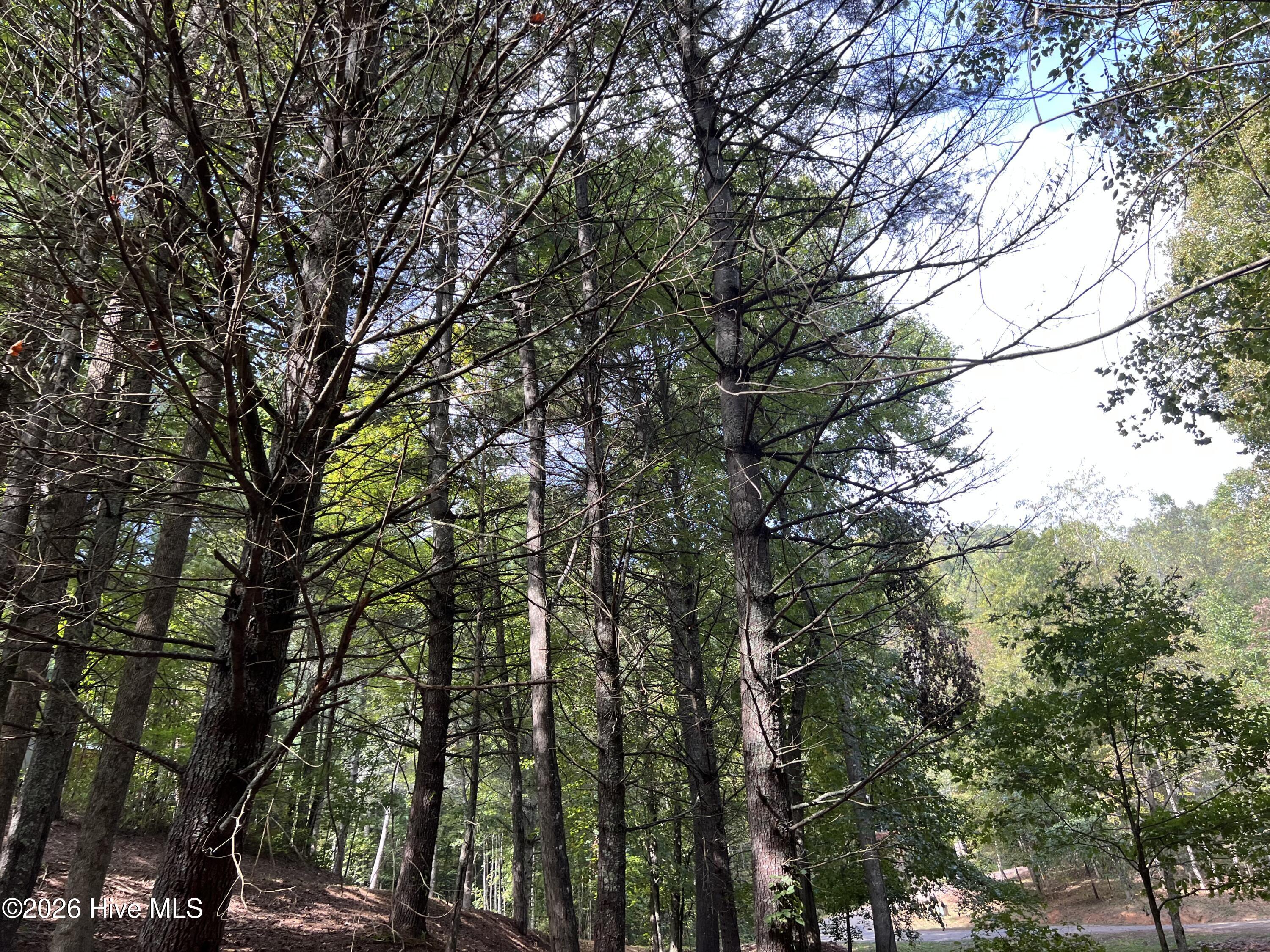 16 26 Merlin Trail Property Photo 8