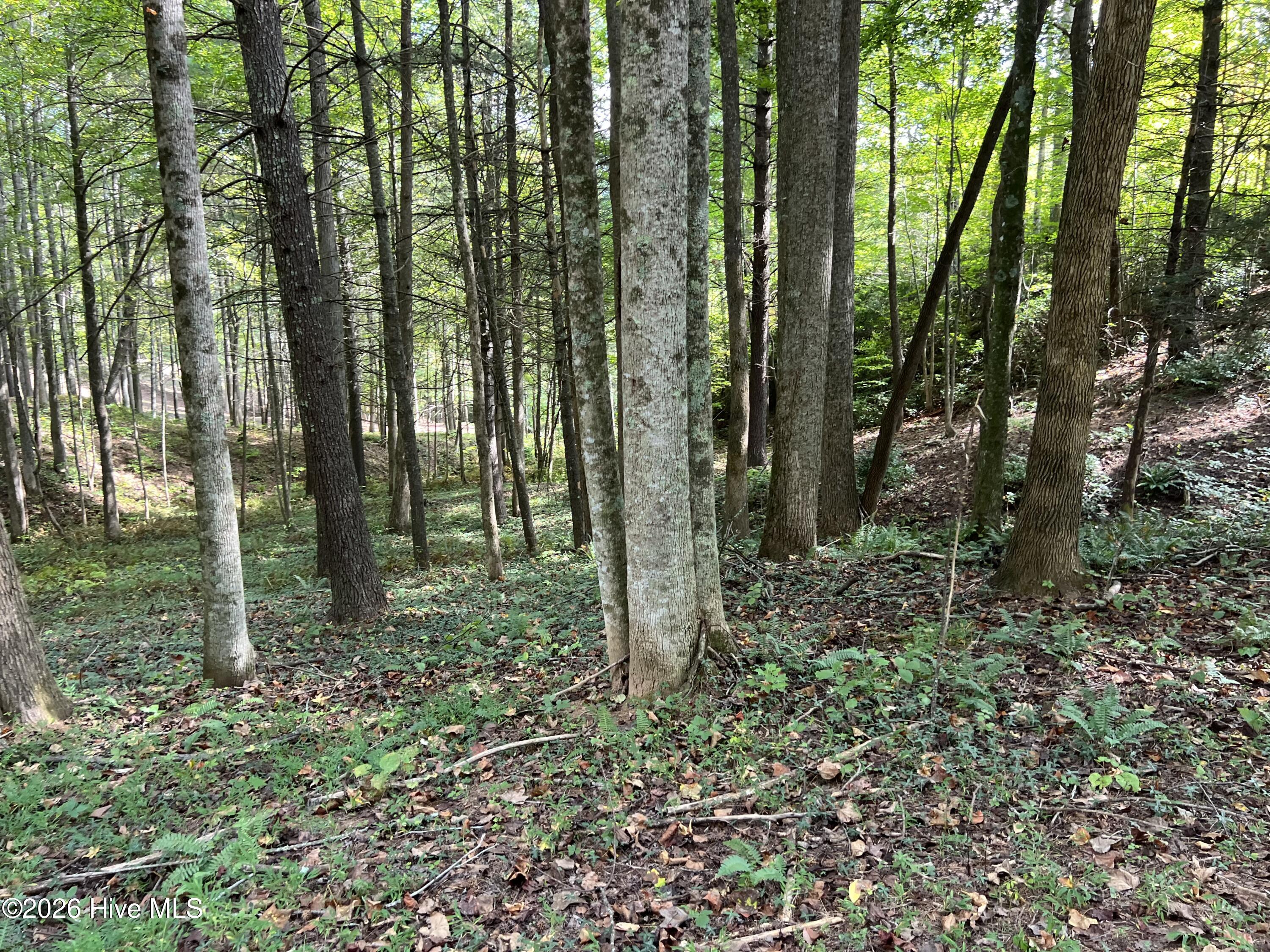 16 26 Merlin Trail Property Photo 11