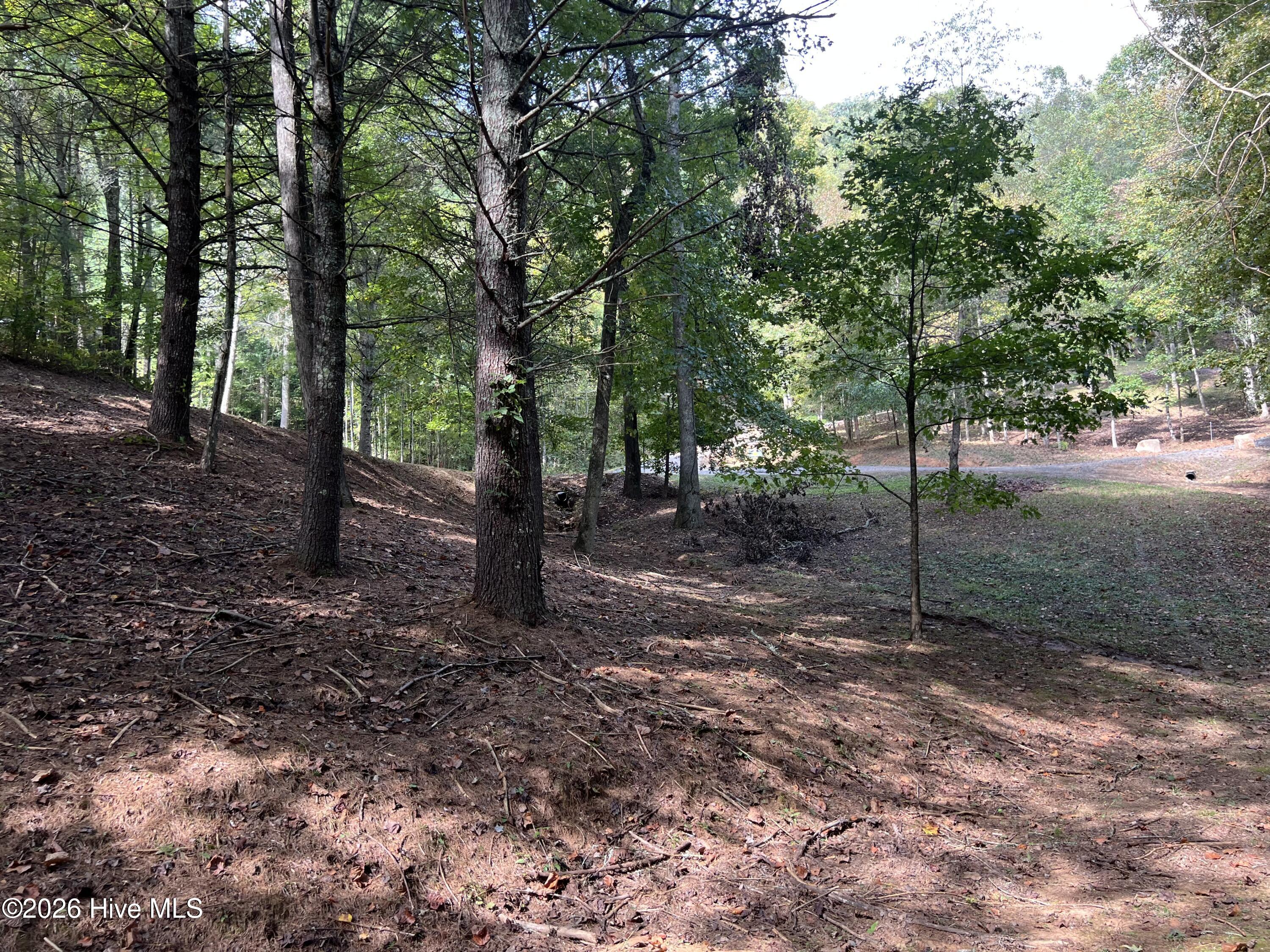 16 26 Merlin Trail Property Photo 12