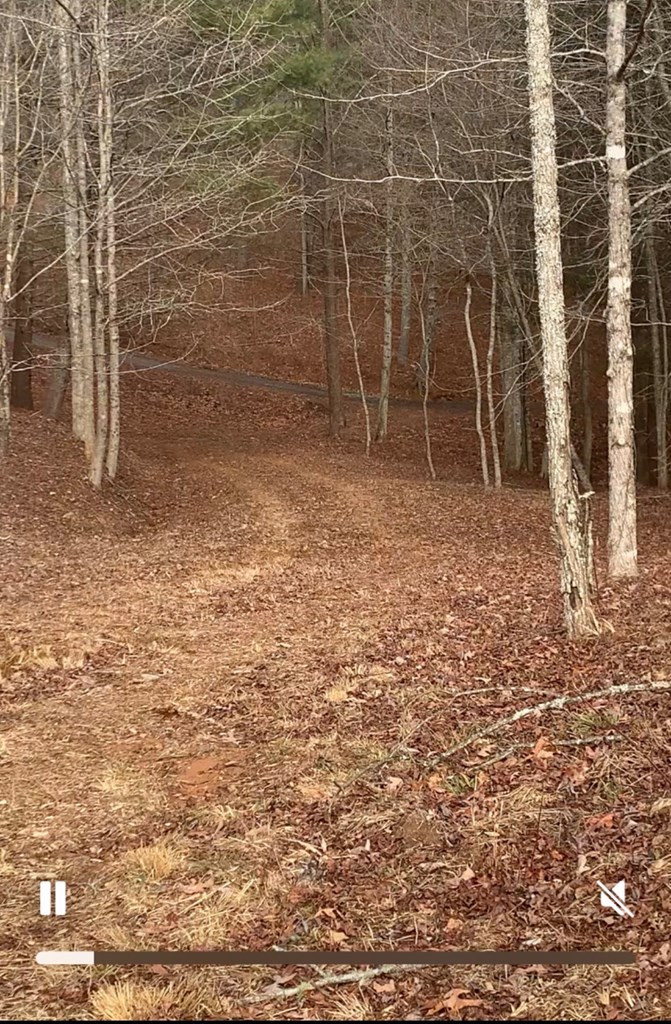 16 26 Merlin Trail Property Photo 2