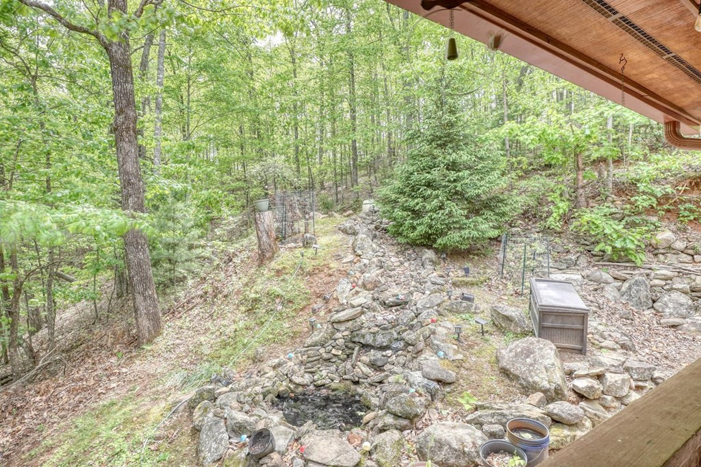 529 Talulu Pass Property Photo 47