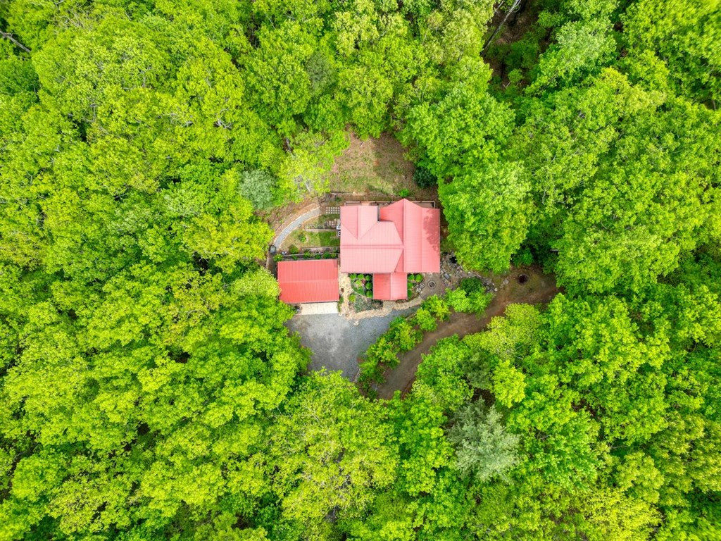529 Talulu Pass Property Photo 54