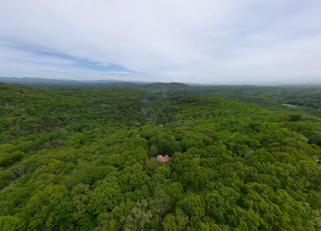 529 Talulu Pass Property Photo 55