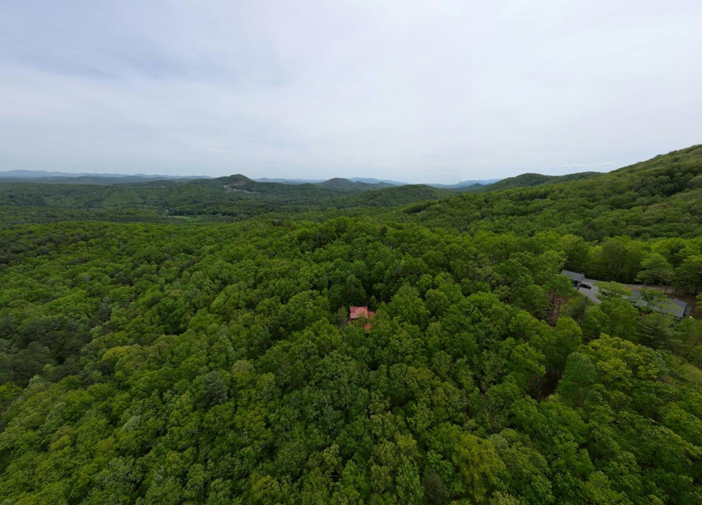 529 Talulu Pass Property Photo 56