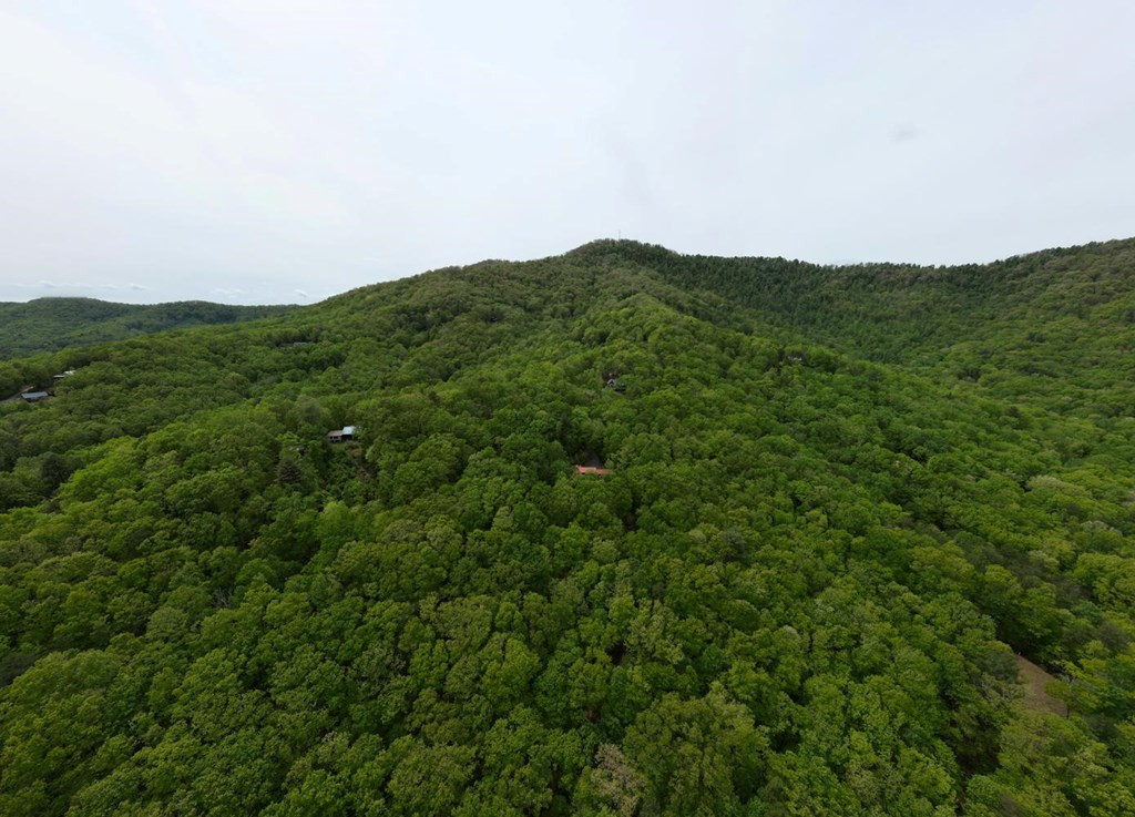 529 Talulu Pass Property Photo 57