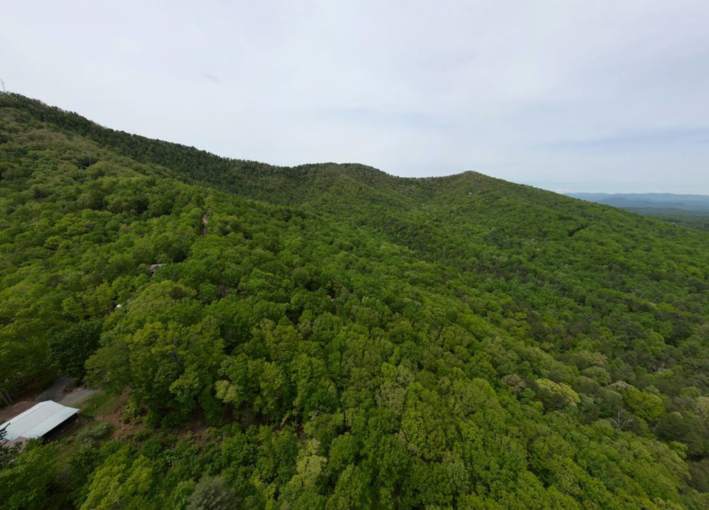529 Talulu Pass Property Photo 58