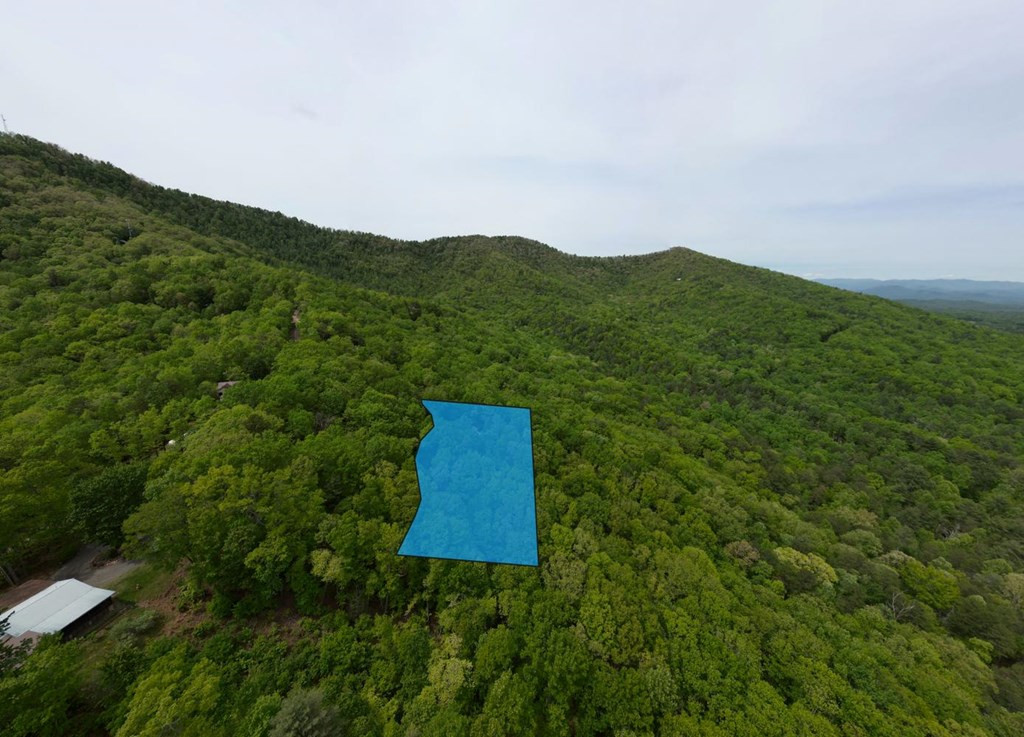 529 Talulu Pass Property Photo 59