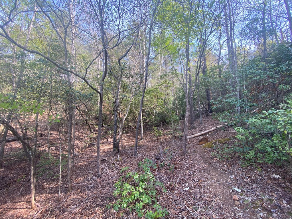 11 Ludlum Drive Property Photo 19