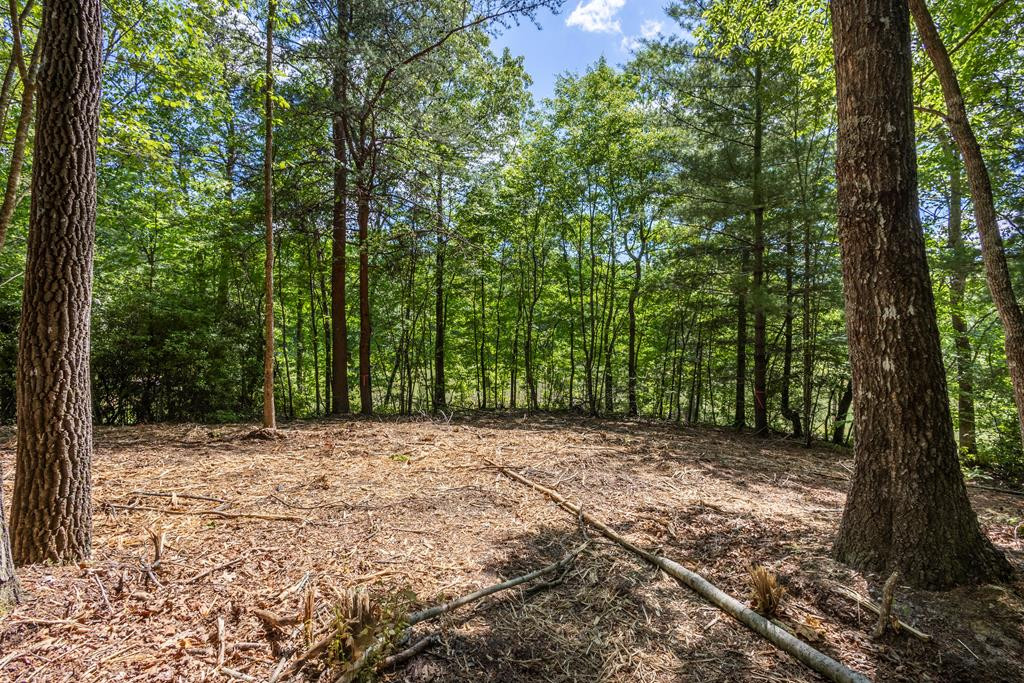 4.2 Acre Donley Road Property Photo 1