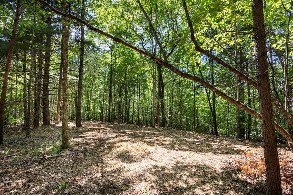 4.0 Acre Donley Road Property Photo 1