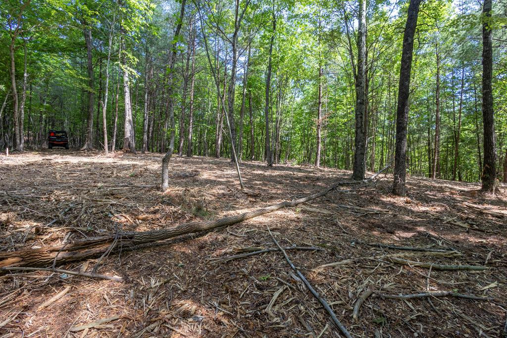 20 Ac Pack Mountain Road Property Photo 1