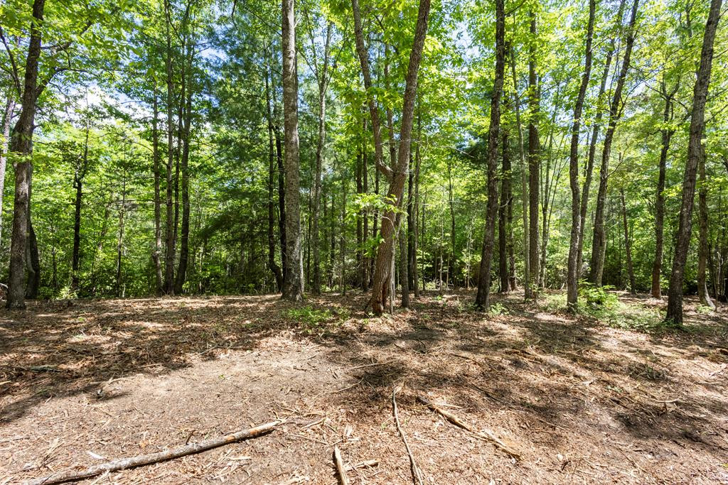 4.3 Ac Donley Road Property Photo 1