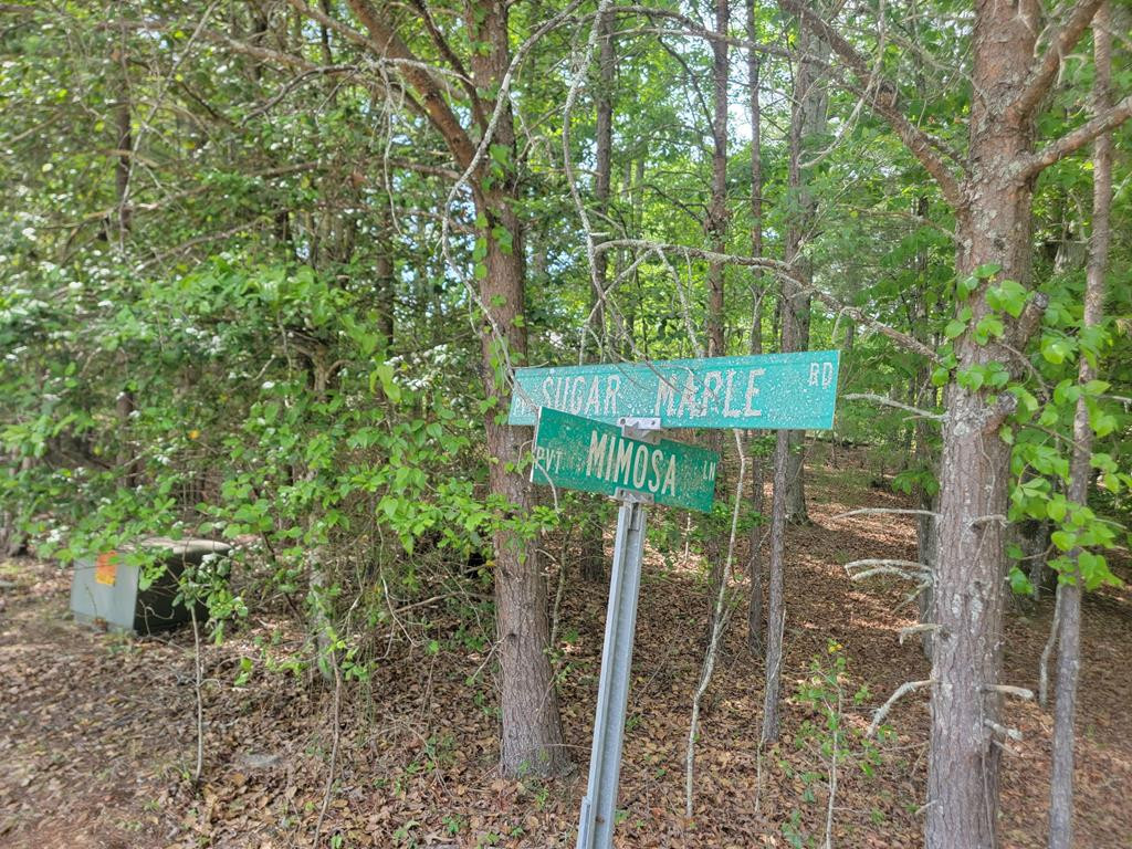 44 Sugar Maple Road Property Photo 1