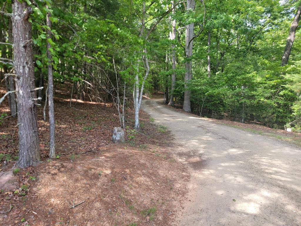 44 Sugar Maple Road Property Photo 2