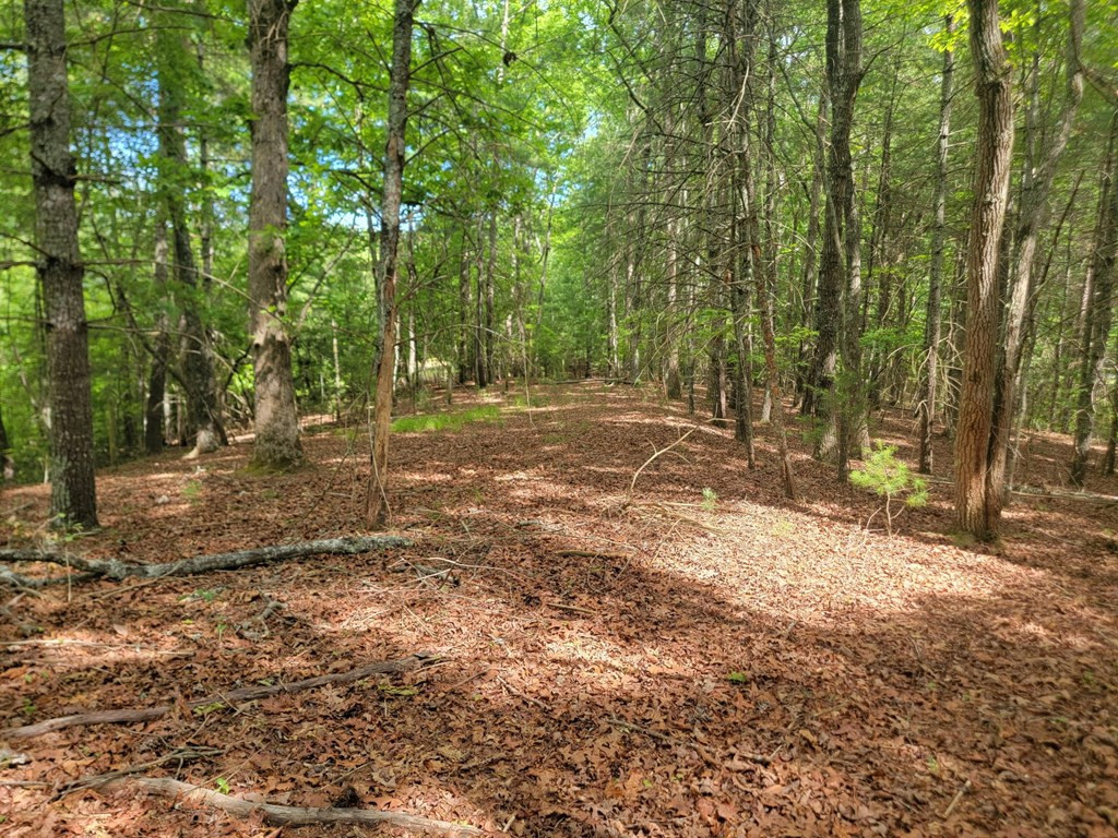 44 Sugar Maple Road Property Photo 3