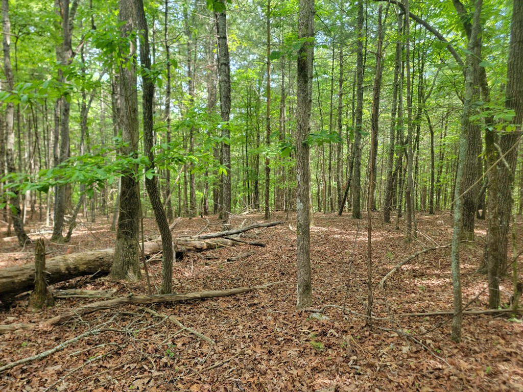 44 Sugar Maple Road Property Photo 7