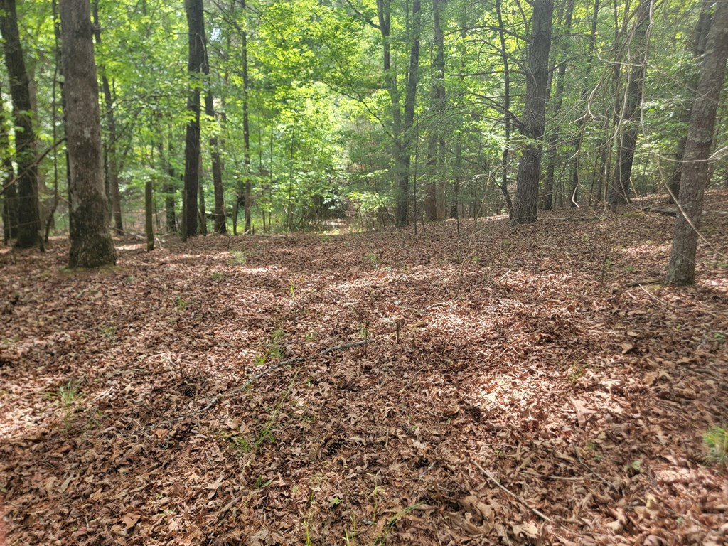 44 Sugar Maple Road Property Photo 10